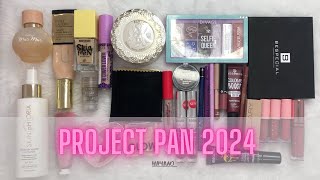 Project Pan 2024 ♻️| Начало #projectpan #проджектпен