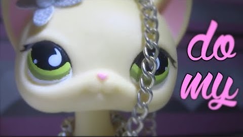 Click Click Click! • MirandaSpanielFilms