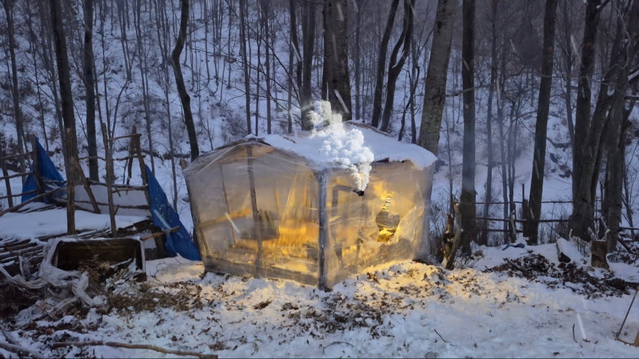 Plastic Wrap Survival Shelter in Snow - Building a Woodland Cabin With ...