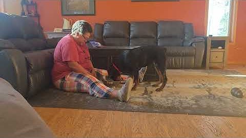 Fable - Scent Imprinting - November 23, 2025