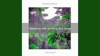 Instant Raindrops with Unique Nature Tunes pt. 2