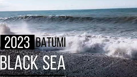 BATUMI 2023 Black Sea | Natasha Blume