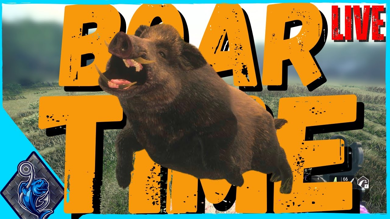 🔴 BACK TO THE BOAR GRIND IS TODAY OUR LUCKY DAY?? !!!  (Portrait) CALL OF THE WILD
