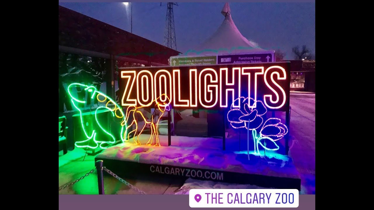 Calgary Zoo Lights  in 4K, December 2020