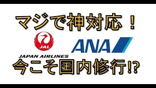 JAL ANAのキャンセル対応について～