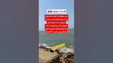 الامة العربية اكسبلور ذواقه علم النفس اقنباسات معلومات ترند 