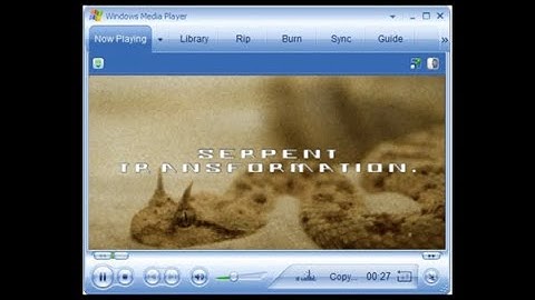 SKINSHED_001: TOTAL EGO RESET