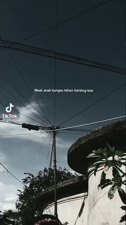 STORY WA ANAK BUNGSU