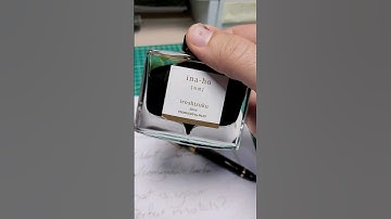 The Perfect Ink Match? Pilot 823 Fountain Pen