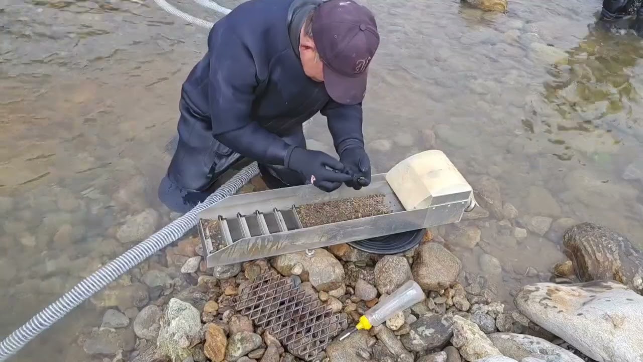 즐거운 사금탐사  could gold explore tv  gold dust # 빌지드레지 # 너겟 # 엽상 # 주말 # 취미 # 동탐