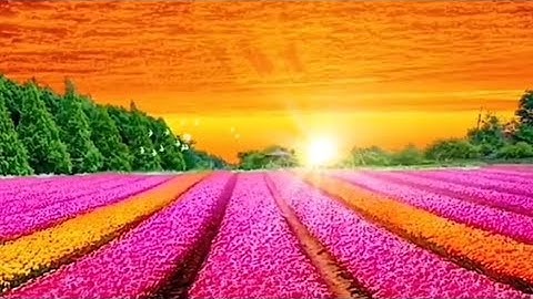 سورة القدر 1 والبورج 2 البينة 3 القلم 4 الإفطار 5 : بصوت القارئ ماجد العويري حفظه الله.