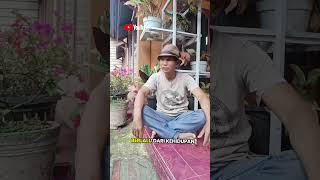 Lukisan Cinta coversong dangdut hiburan