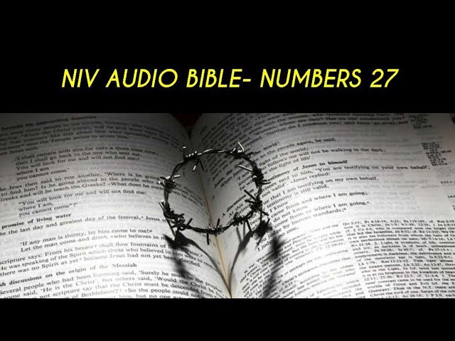 NUMBERS 27 NIV AUDIO BIBLE (with text) class=