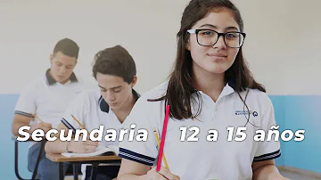 ¿Cuál es la función de un sistema educativo?