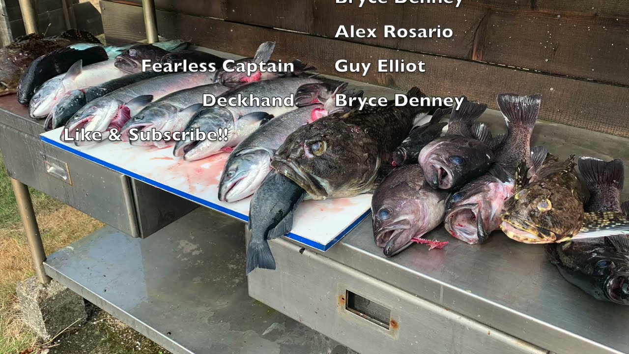 Dory Diving & Fishing   HD 1080p