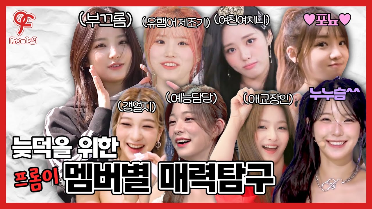 늦덕(뉴비)를 위한 멤버별 매력탐구 모음 (ENG SUB) [프로미스나인]