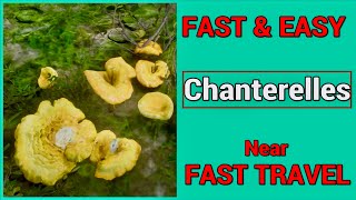 Fast & Easy Chanterelle Locations Near Fast Travels