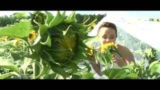 Свадьба Ульяновск .Свадебный клип Ларисы и Вадима Свадьба Ульяновск .Свадебный клип Ларисы и Вадима