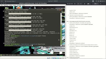 Lab 3.1.12 - Explore Python Development Tools