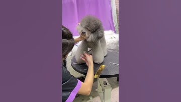 Dạy Bạn Học Viên Đến Từ Hongkong