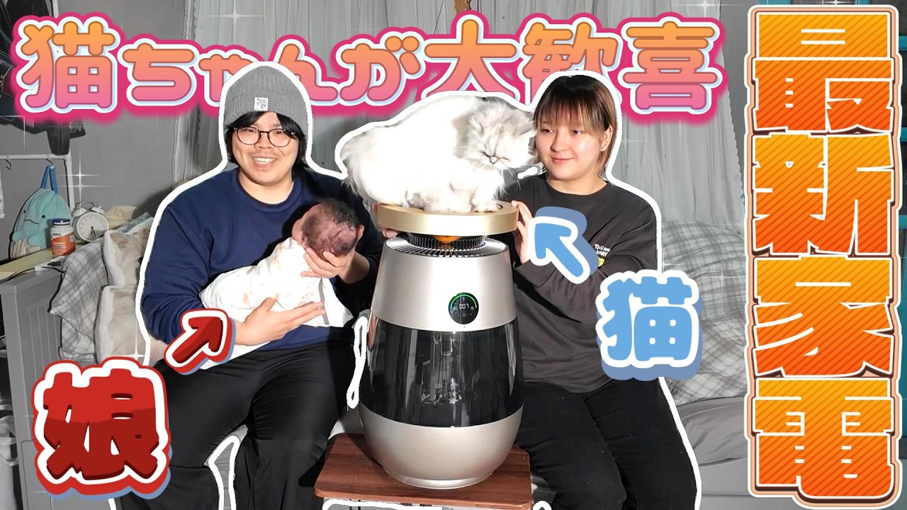 ネコのために作られた「最強の猫専用空気清浄機」【DREAME AP10】