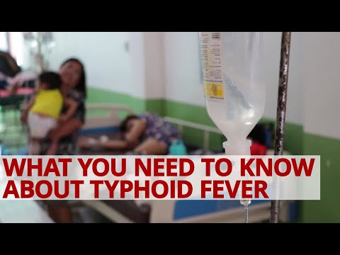 What You Need To Know About TYPHOID FEVER?