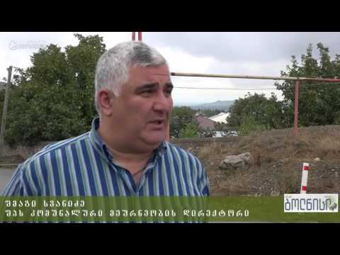 გზებზე დაყრილი ნაგავი და გადატრიალებული ნაგვის ურნები