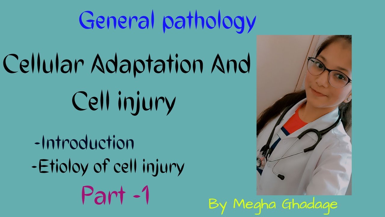 Cellular Adaptation and Cell Injury introduction Part -1|#pathology ...