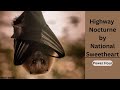 Highway Nocturne 1 Hour By National Sweetheart No Copyright Highway Nocturne 1 Hour By National Sweetheart No Copyright