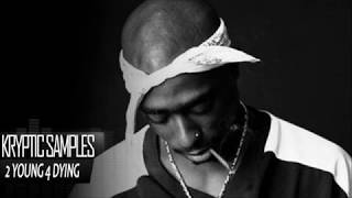 *FREE* 2Pac Type Beat | 2 YOUNG 4 DYING | Produced by Kryptic Samples | Oldschool | West Coast