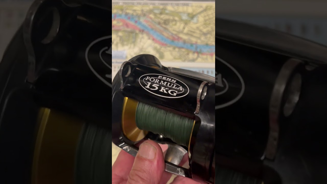 Penn Formula 15KG fishing reel of the day #fish - YouTube