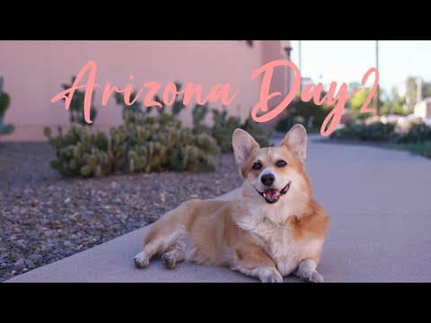Arizona Travel Day 2【Roguto】Vlog42/SMoCA James Turrell/Arizona State University/Tucson Sunset