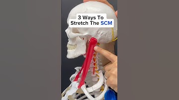 3 Ways to Stretch the SCM!