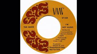 THE DAVID - I'M NOT ALONE
