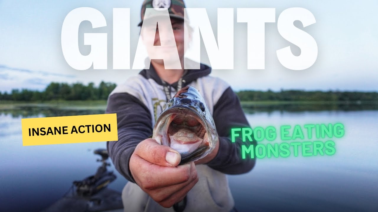 Topwater Frog Madness – Summer Bass Fishing