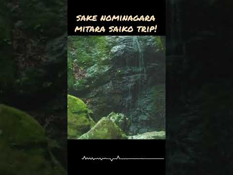 //  Beat trip //  SP404 BEAT LIVE by B.T.Reo 440