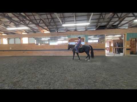 Jordan Moris and Zips Chicolate Lark
