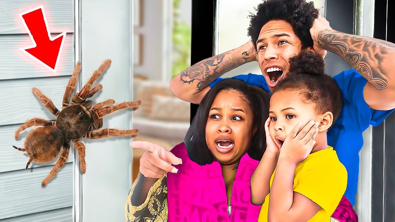 WE FOUND A GIANT TARANTULA IN OUR HOME!