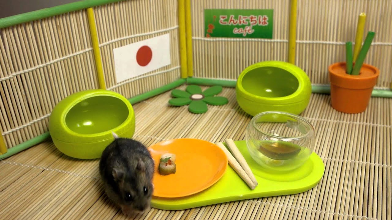 Tiny hamster eating tiny sushi