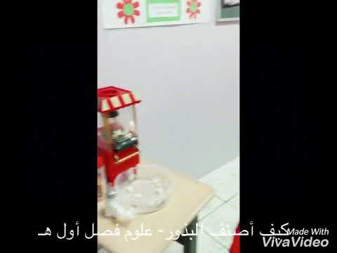 كيف أصنف البذور أول ه