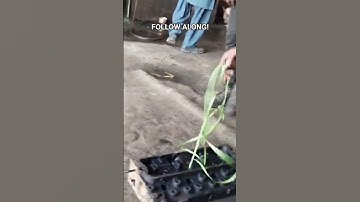 Hehe this is SO RANDOM! TRAPPED! INFINITE LOOP...in:@JasminandJames#funny#loop#viral