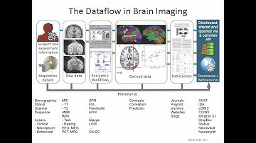 Tools of the Trade: From Data to Results in Neuroimaging with Dr. Satrajit Ghosh