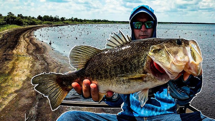 Lake Garcia Bass Fishing in My Secret Spot 