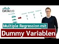Quiz zu Variablen und Dummy-Variablen