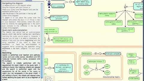 Pathway Analysis