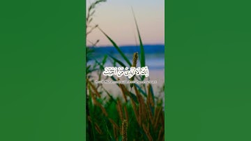 أتمنى أن تكتب شيء تؤجر عليه #قرآن #اكسبلور #مسلم #راحة_نفسية #تلاوات