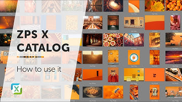 How does the catalog work?