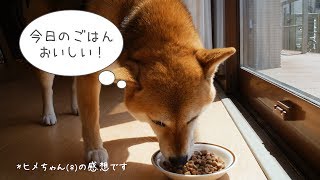 DHC 犬用 国産生肉使用の贅沢ごはん チキン