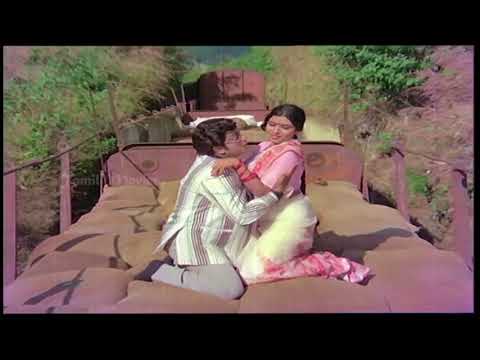 Vetkapadavo Chellakili Song Lyrics on YouTube