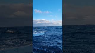 #море #волна #ветер #солнце #природа #корабли